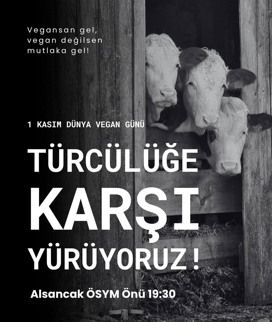 1 Kasım Dünya Vegan Günü İzmir’de Sokaktayız!
