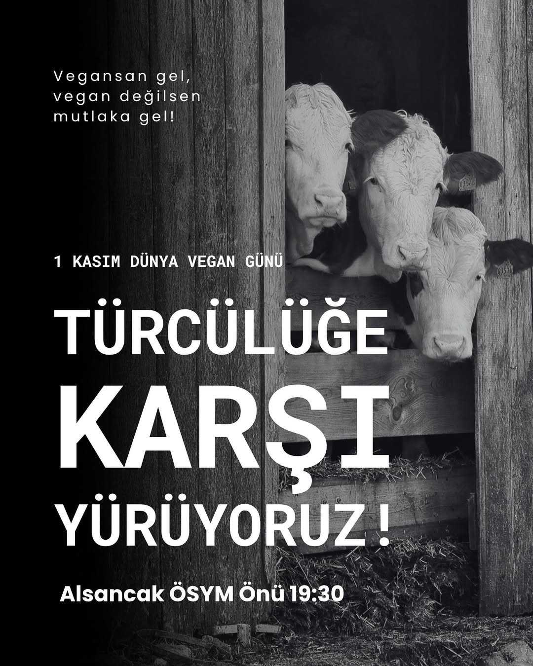 https://izmiryasamhakki.org/wp-content/uploads/2025/10/1-Kasim-Dunya-Vegan-Gunu-–-Izmirde-Sokaktayiz-✊🌱Hayvanlar-doga-ve-emek-ayni-sistem-tarafindan-yo.jpg