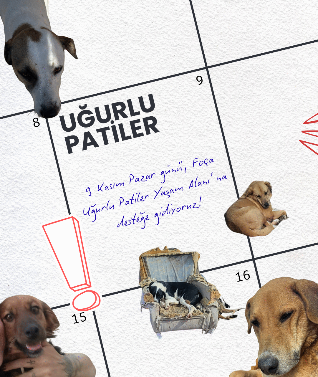 Uğurlu Patiler Yaşam Alanı Ziyareti