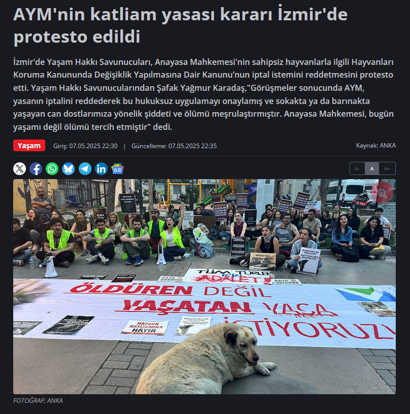 Ekran görüntüsü 2025-10-30 214137