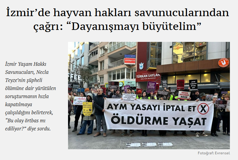 Ekran görüntüsü 2025-10-30 214229