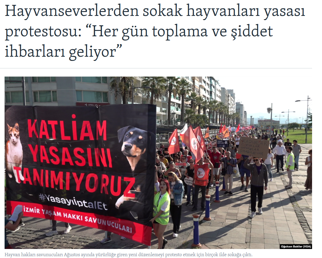 Ekran görüntüsü 2025-10-30 214309