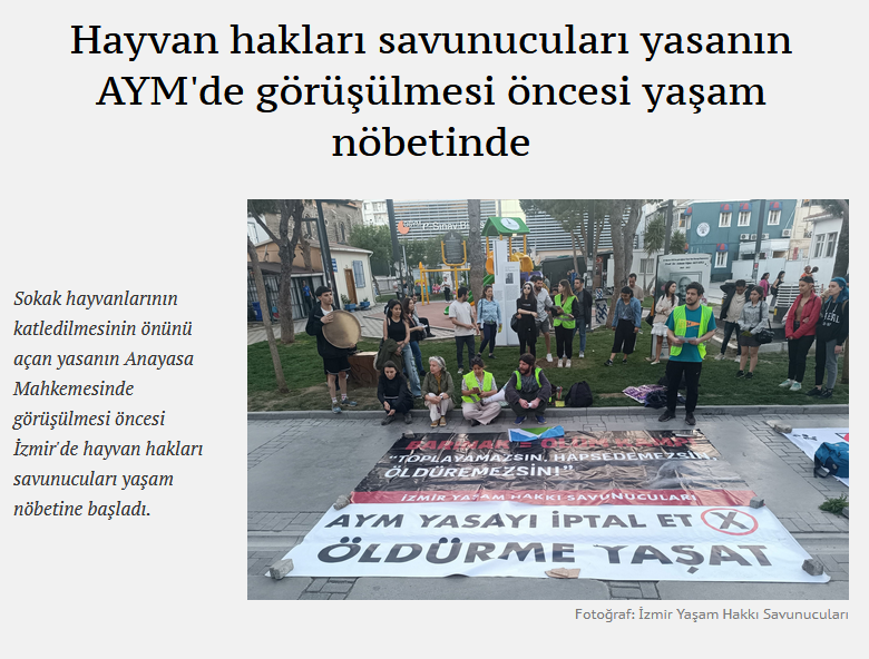 Ekran görüntüsü 2025-10-30 214349