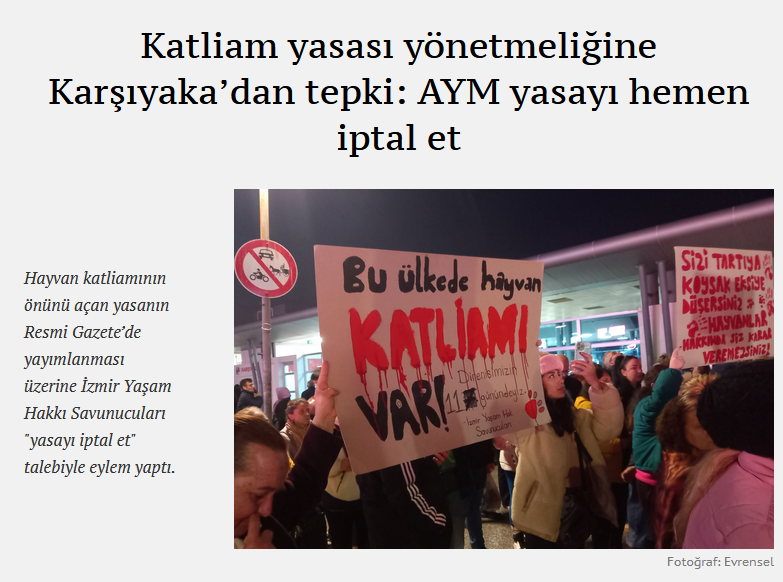 Ekran görüntüsü 2025-10-30 214435