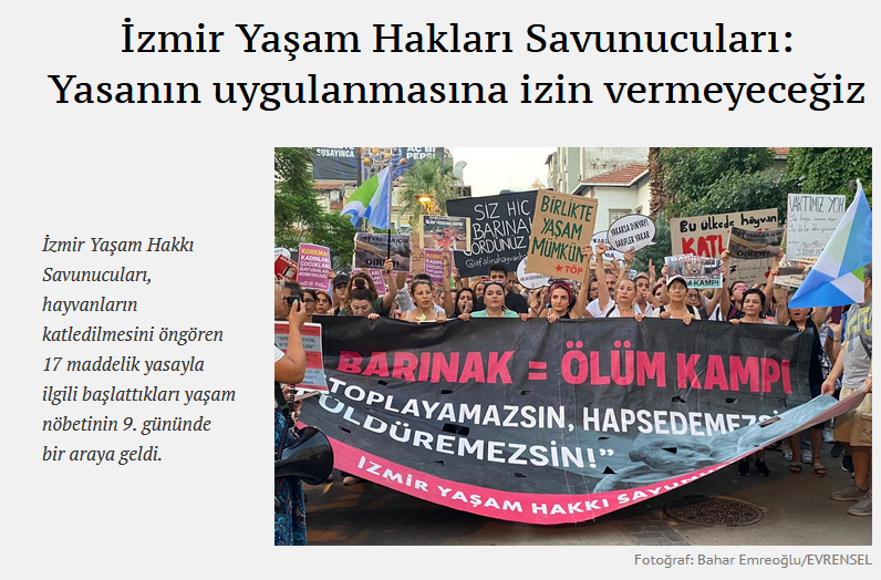 Ekran görüntüsü 2025-10-30 215249