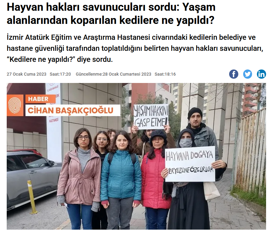 Ekran görüntüsü 2025-10-30 215352