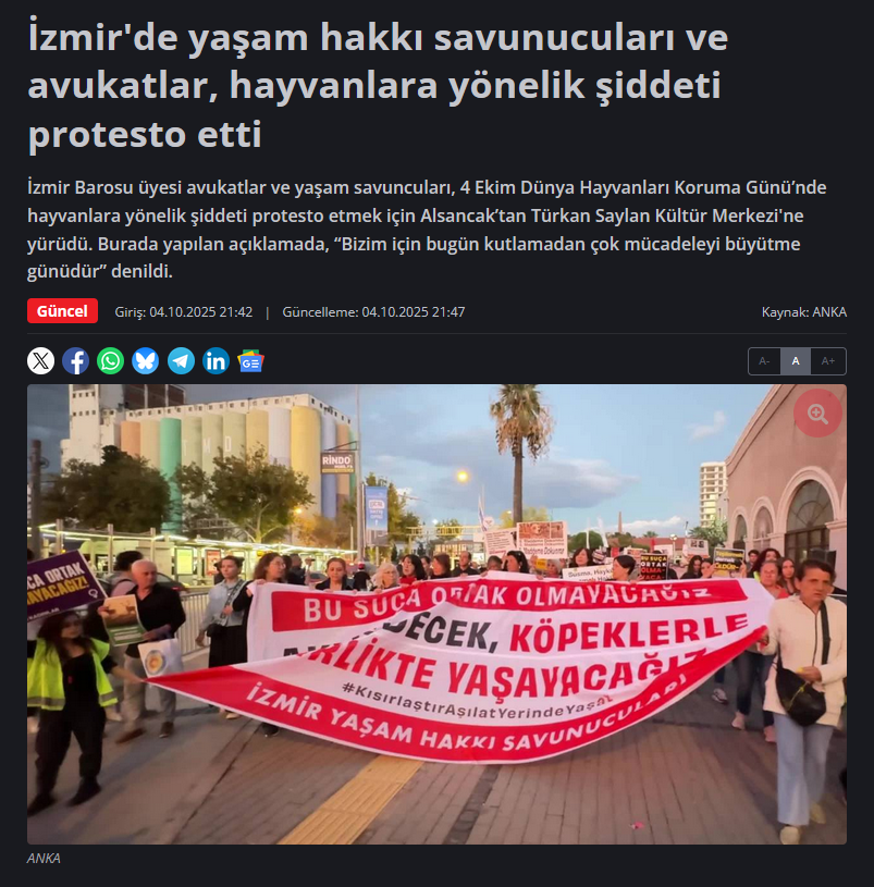 Ekran görüntüsü 2025-10-30 215514