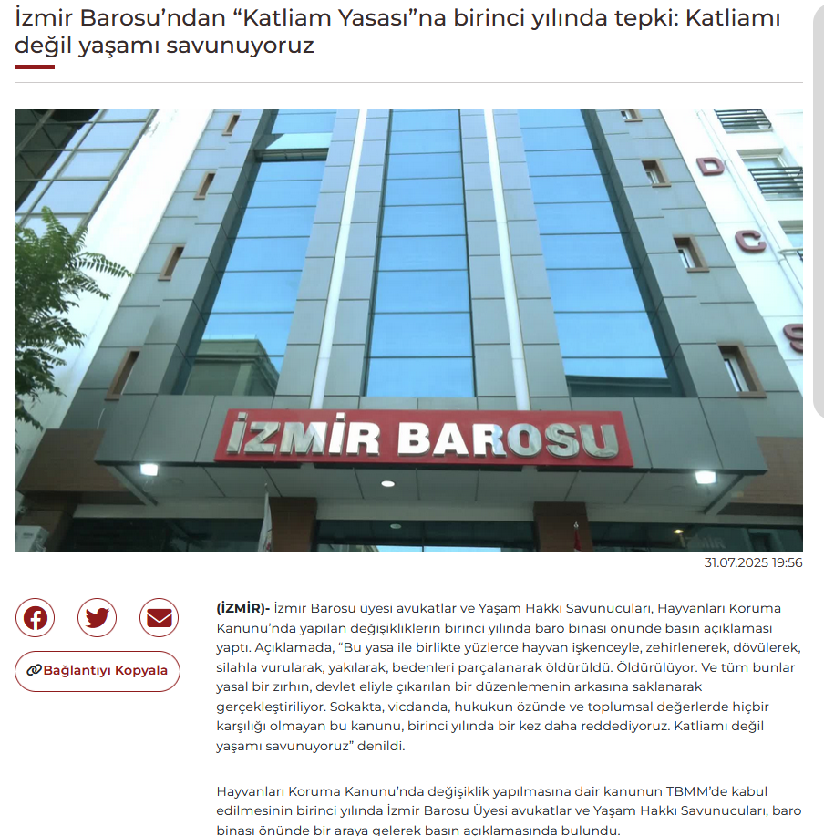 Ekran görüntüsü 2025-10-30 215619