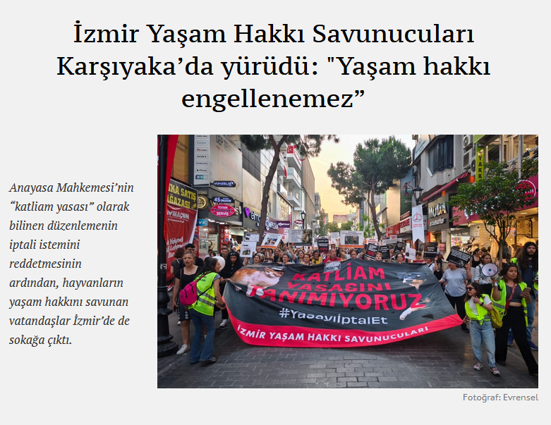 Ekran görüntüsü 2025-10-30 215647