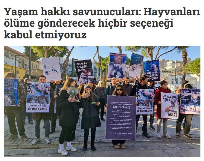 Ekran görüntüsü 2025-10-30 215817