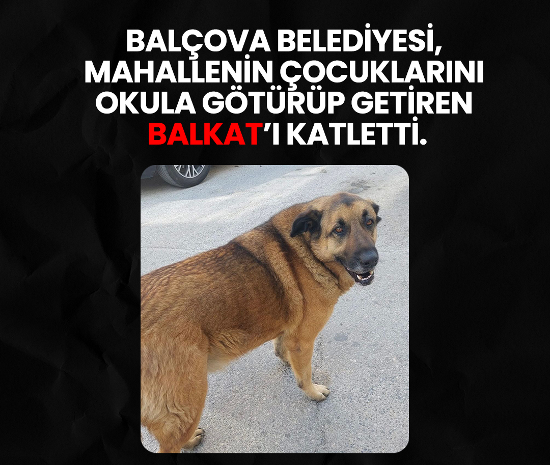 Balçova Belediyesi, mahallenin çocuklarını okula götürüp getiren Balkat’ı katletti!