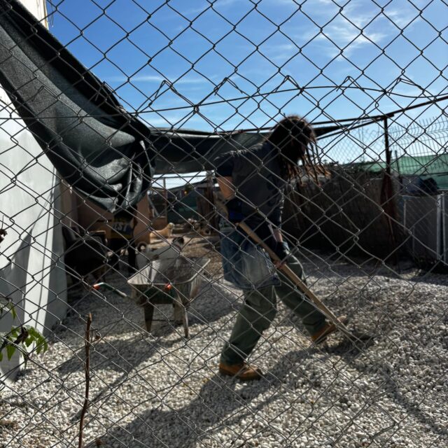 Uğurlu Patiler Yaşam Alanı’nı Ziyaret Ettik